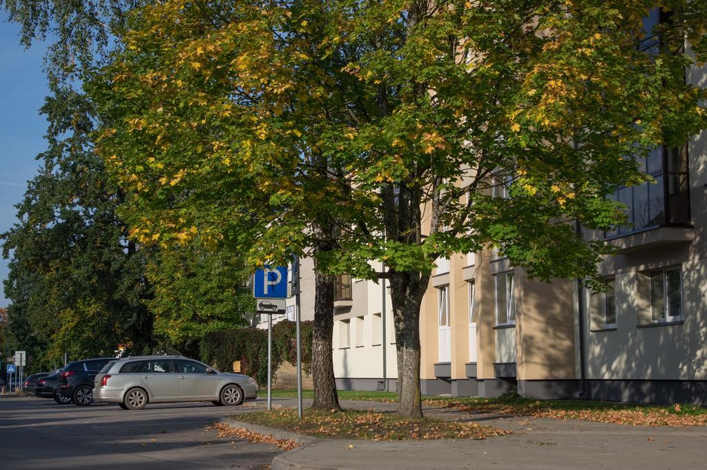 Snow Apartment Druskininkai Extérieur photo